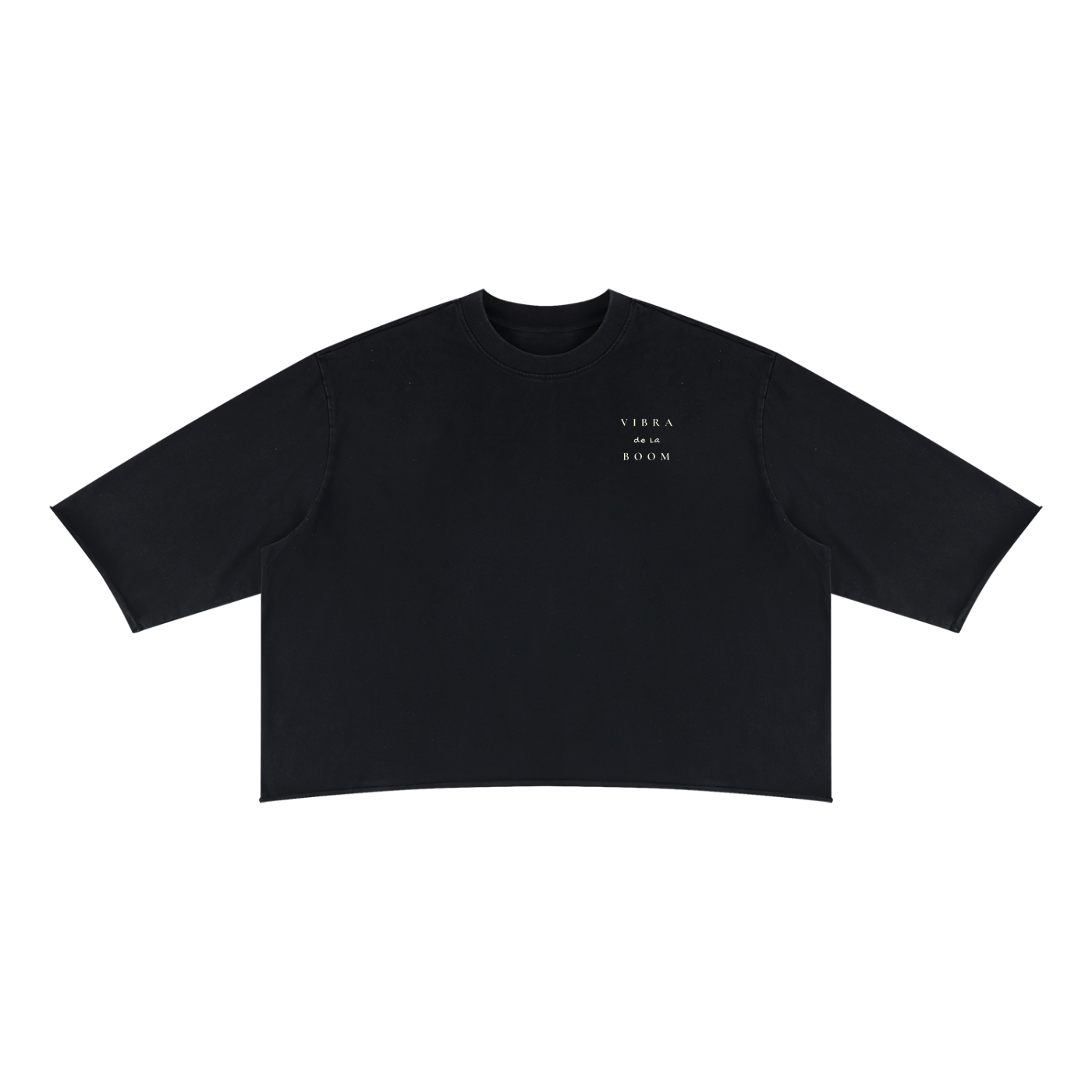 Mineral Wash Raw Hem Boxy VB T-Shirt